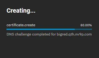 Successful DNS Challenge for Let's Encrypt